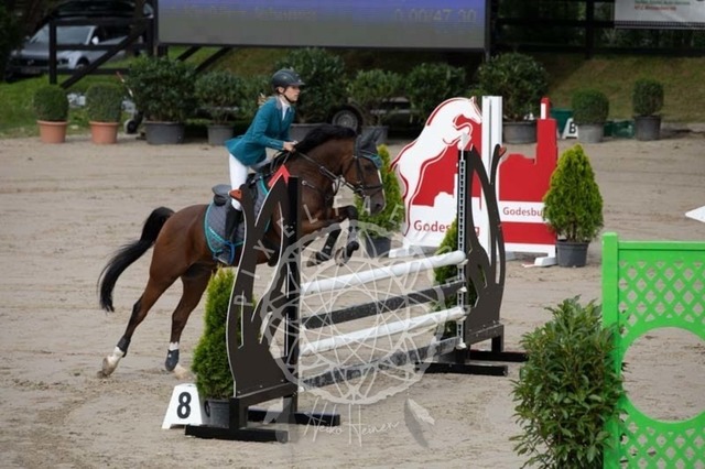 2B4A1436 | pixelfaenger - Realisiert mit Pictrs.com