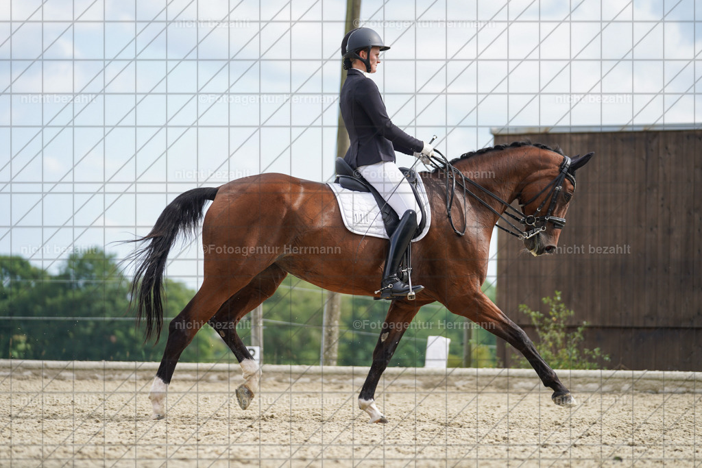 20230826-FAH06181 | Forstinning, 2023, Dressurturnier, Turniersportbilder, Turnierfotografen Bayern, Fotoagentur Herrmann, Reitsportfotografie, Turnierbilder