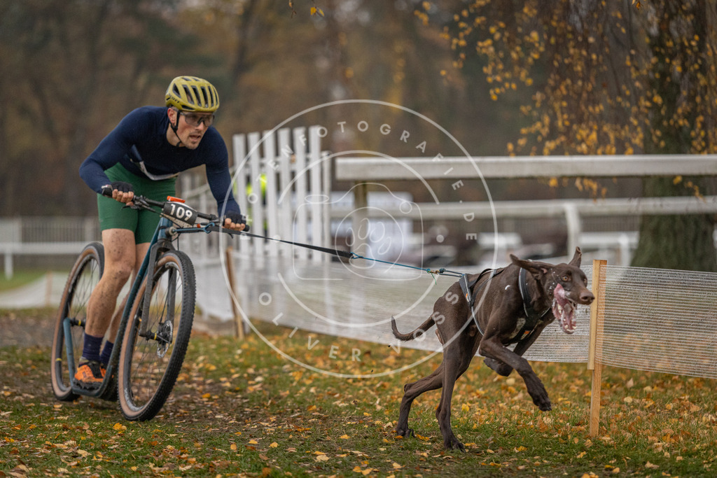 CaniXpix_DV3A7451 | Hundefotografie, Tierfotograf, Pfotenfotografie, Fotoshooting Hund, Hunde Portrait, Hundesport, Hundeportraits, Heideshooting, Hunde, Sportfotograf, Hundefotograf, Turnierhundsport, THS,  - Realisiert mit Pictrs.com