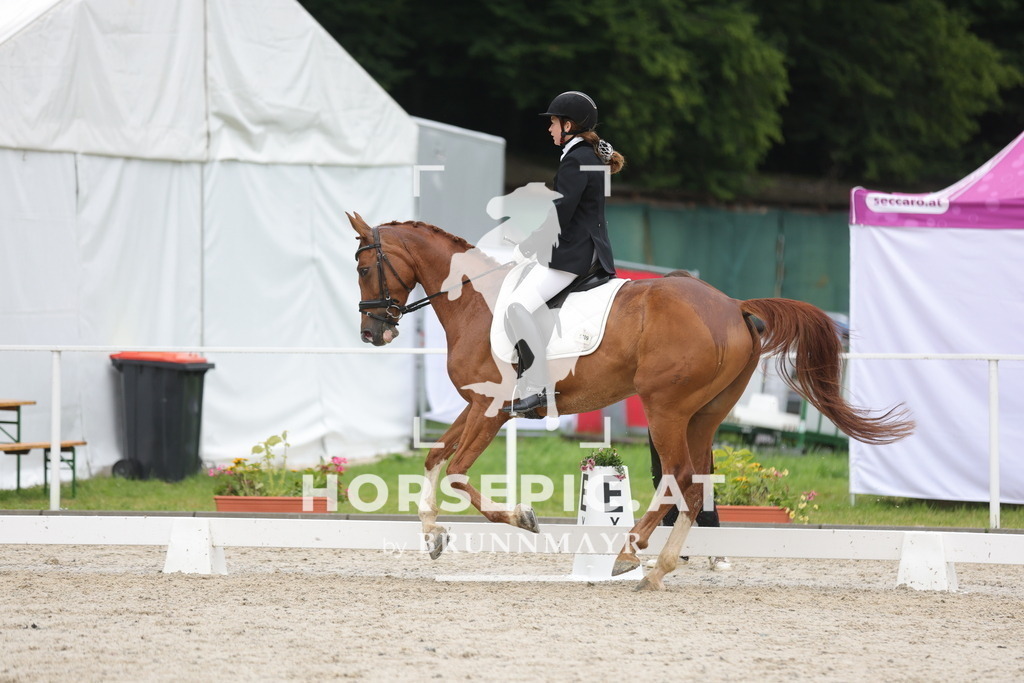 0P6A3627 | Willkommen bei Brunnmayr - Design & Fotografie – Ihrem Spezialisten für Reitturniere und Pferdeveranstaltungen in Oberösterreich, Salzburg und Bayern! Seit über 17 Jahren sind wir leidenschaftlich dabei.