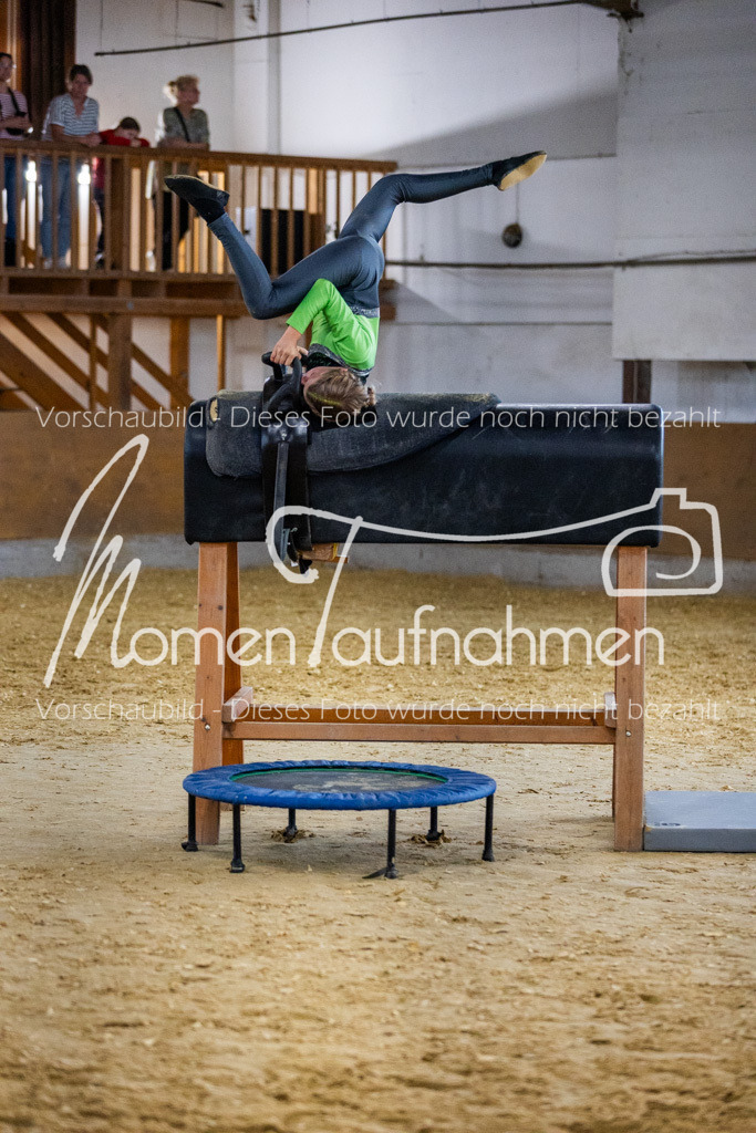 Holzpferd-019 | MomenTaufnahmen Pferdesportfotos