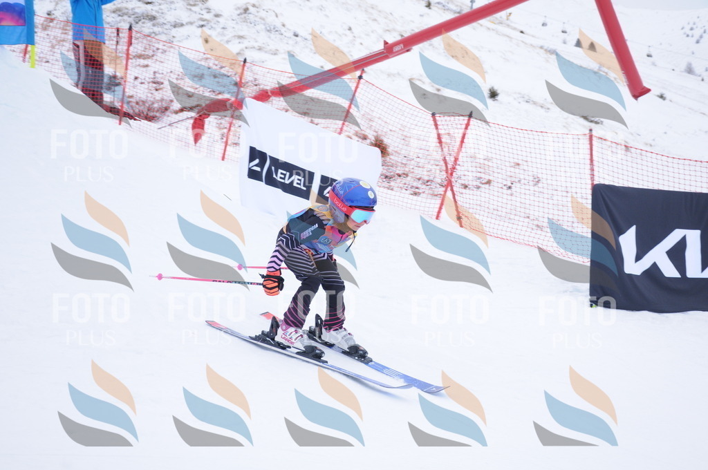 DSC_7745 | holidayphoto