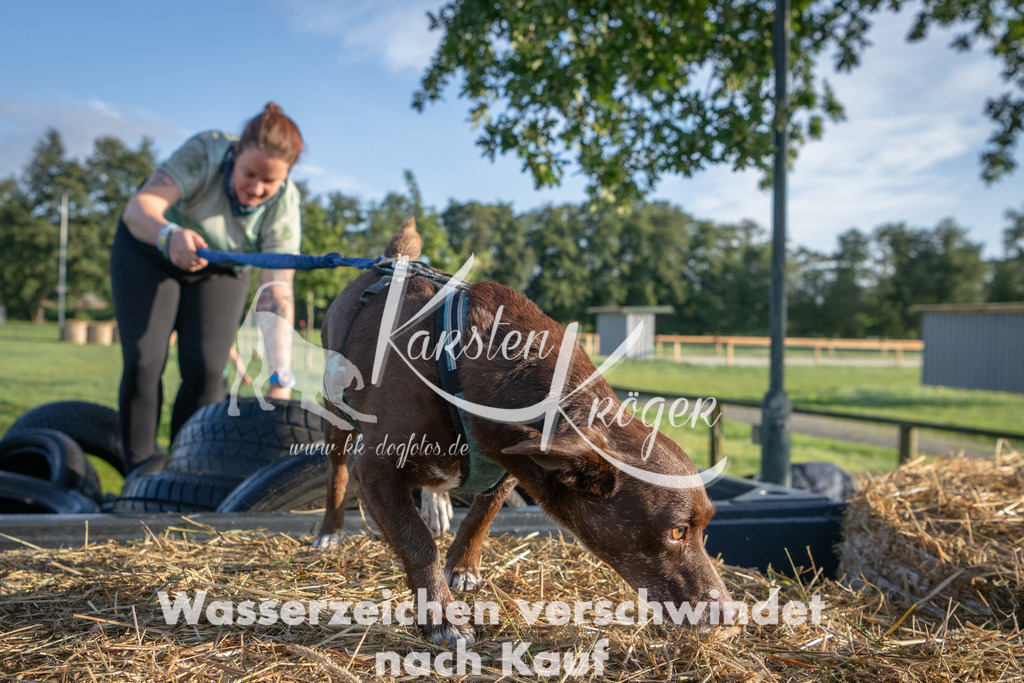0829_ZZ91618 | kk-dogfotos