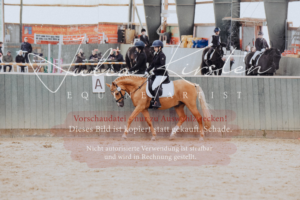 DSC_7234 | Pferde- und Turnierfotografie in Westsachsen. Pferdeportraits, Auftragszeichnungen und intuitive Kunst.