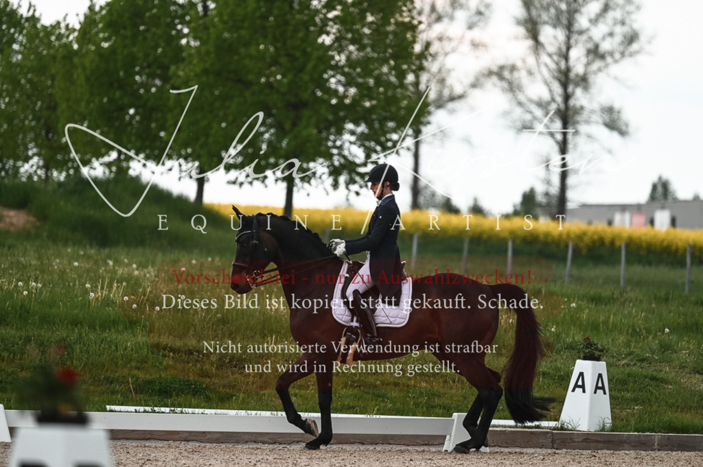20230514_JK-Röhrsdorf-21-310 | Pferde- und Turnierfotografie in Westsachsen. Pferdeportraits, Auftragszeichnungen und intuitive Kunst.