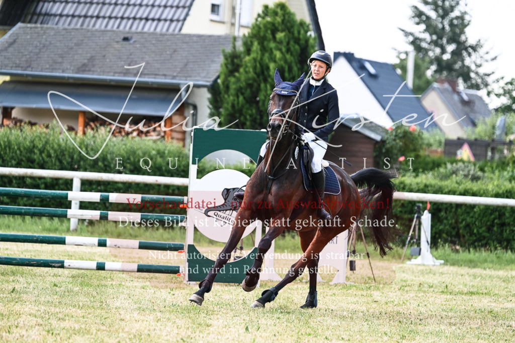 DSC_8757 | Pferde- und Turnierfotografie in Westsachsen. Pferdeportraits, Auftragszeichnungen und intuitive Kunst.