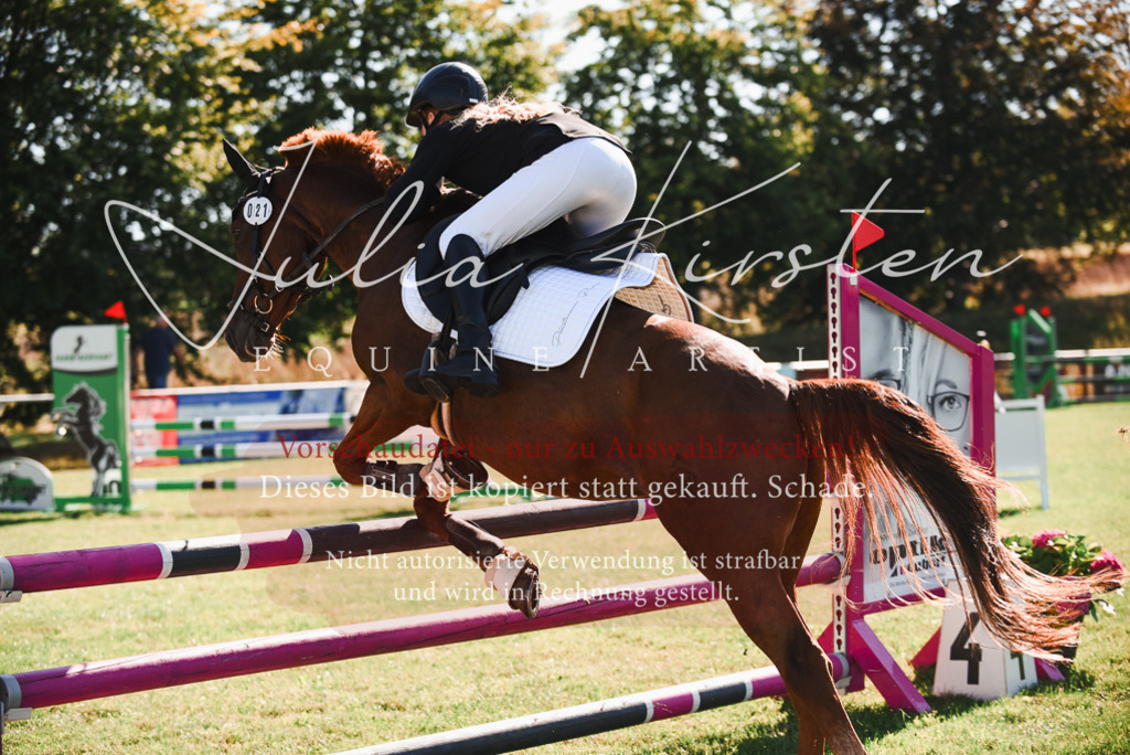 DSC_2450 | Pferde- und Turnierfotografie in Westsachsen. Pferdeportraits, Auftragszeichnungen und intuitive Kunst.