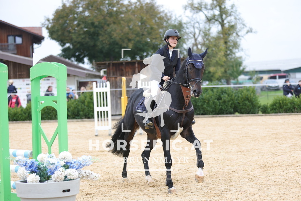 0P6A2271 | Willkommen bei Brunnmayr - Design & Fotografie – Ihrem Spezialisten für Reitturniere und Pferdeveranstaltungen in Oberösterreich, Salzburg und Bayern! Seit über 17 Jahren sind wir leidenschaftlich dabei.