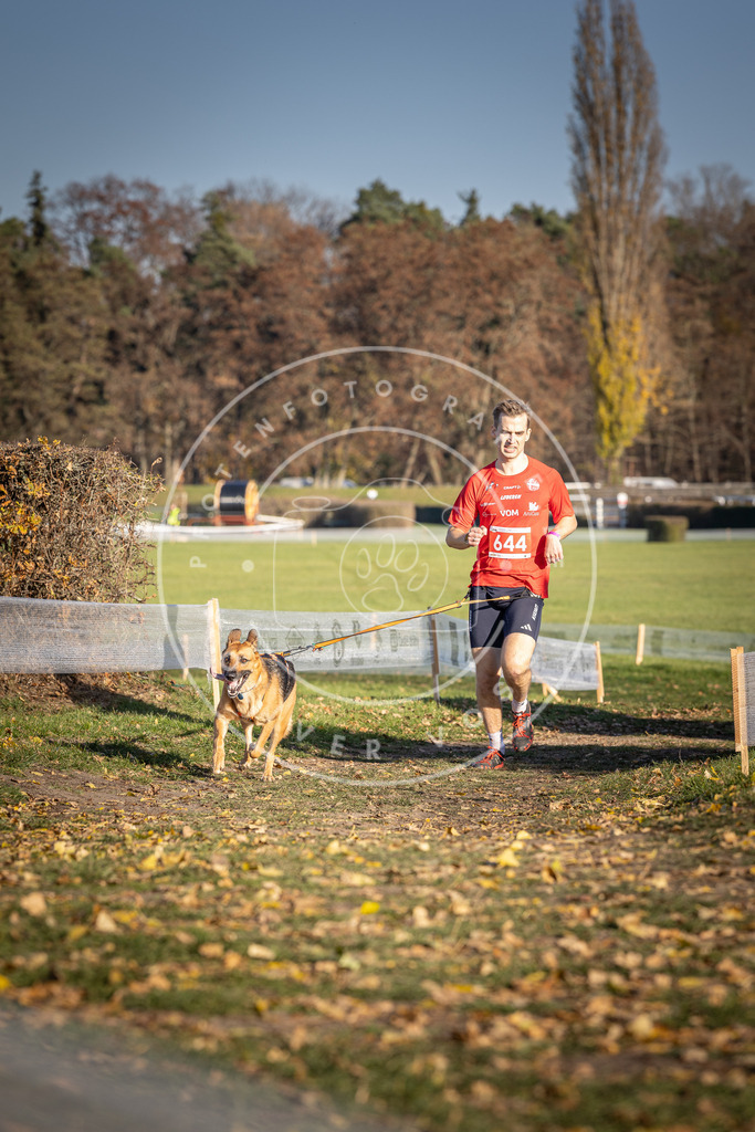CaniXpix_DV3A0394 | Hundefotografie, Tierfotograf, Pfotenfotografie, Fotoshooting Hund, Hunde Portrait, Hundesport, Hundeportraits, Heideshooting, Hunde, Sportfotograf, Hundefotograf, Turnierhundsport, THS,  - Realisiert mit Pictrs.com