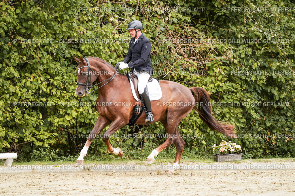 DSC03712 | Pferdegrafie