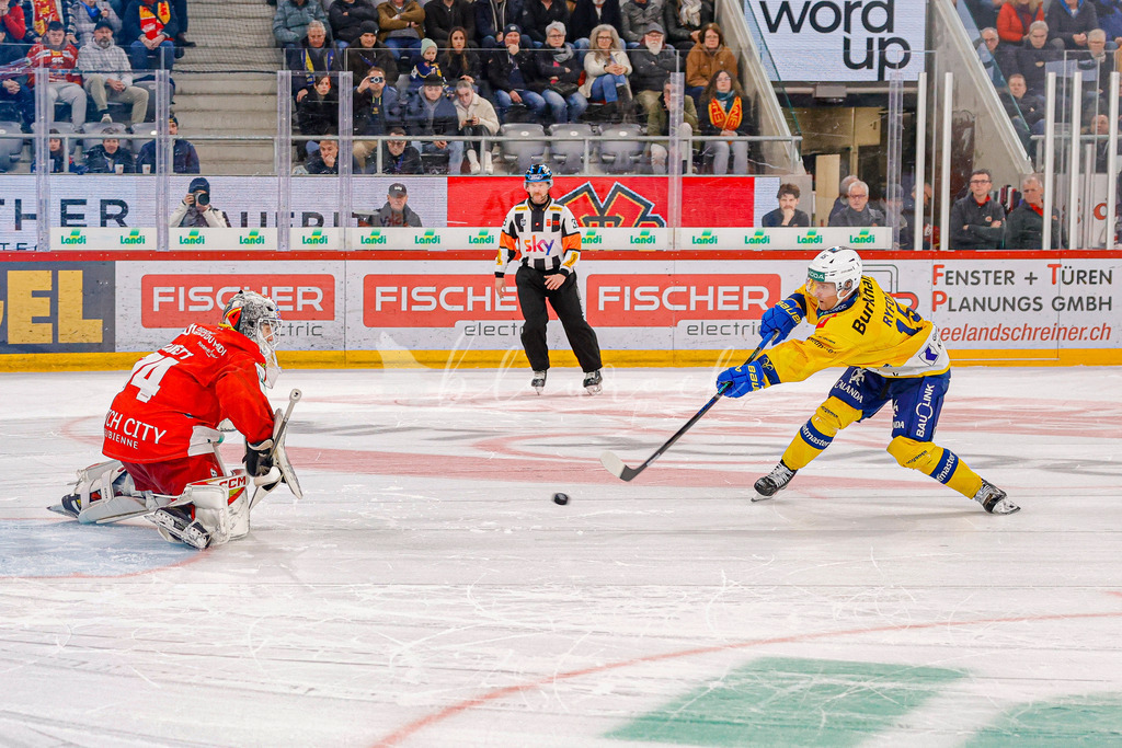 EHCB vs HCD 20260106_wb-1327 | Sportbilder, Sportfotograf, Hochzeits- und Eventfotografin, Flugshows, Portraits und Tiershooting, Aviation, Downhill, Nationalleague, Swissleague, International