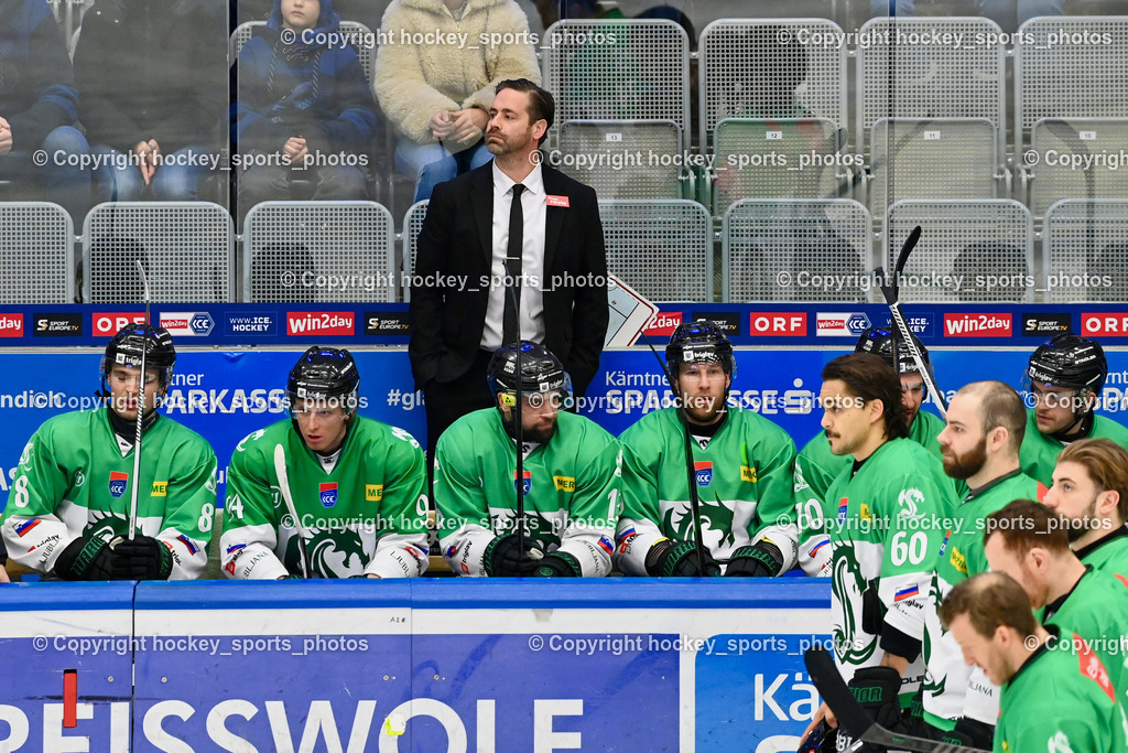 EC IDM WÄRMEPUMPEN VSV vs. Olimpija Ljubljana | Spielerbank Olimpija Ljubljana, Headcoach Olimpija Ljubljana BEN COOPER, EC IDM WÄRMEPUMPEN VSV vs. Olimpija Ljubljana, EC IDM WÄRMEPUMPEN VSV vs. Olimpija Ljubljana am 01.02.2026 in Villach (Stadthalle Villach), Austria, (Photo by Bernd Stefan)