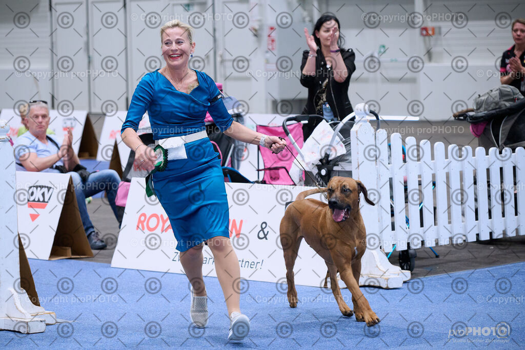 202406_ÖKV-IHA-Tulln24_NZ9_8823 | proPHOTO - Realisiert mit Pictrs.com