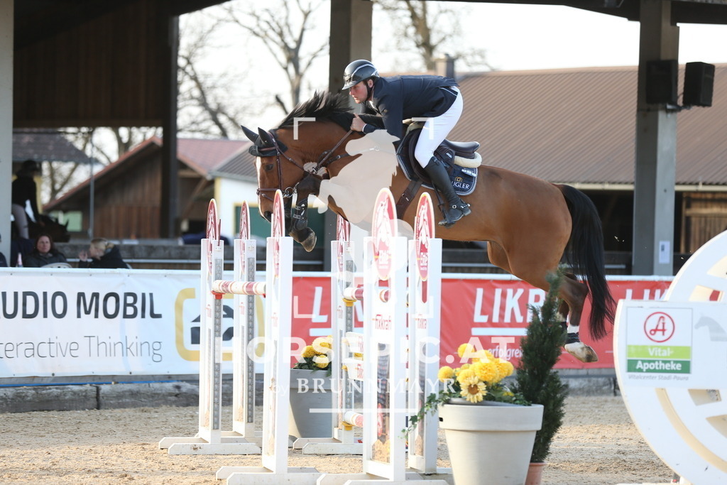 AS8V4020 | Willkommen bei Brunnmayr - Design & Fotografie – Ihrem Spezialisten für Reitturniere und Pferdeveranstaltungen in Oberösterreich, Salzburg und Bayern! Seit über 17 Jahren sind wir leidenschaftlich dabei.