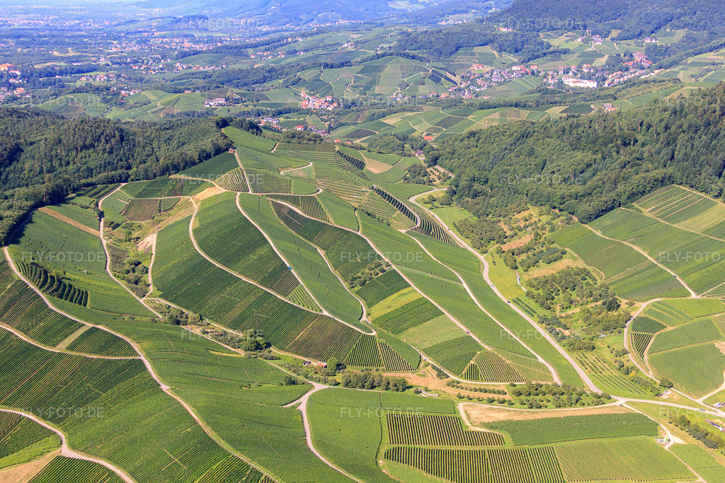 Luftbild: Weinberge in Kappelrodeck im Bundesland Baden-Württemberg in Deutschland. Foto: IMG_31513.jpg vom 09.08.2010 durch Werner Riehm/FLY-FOTO.de