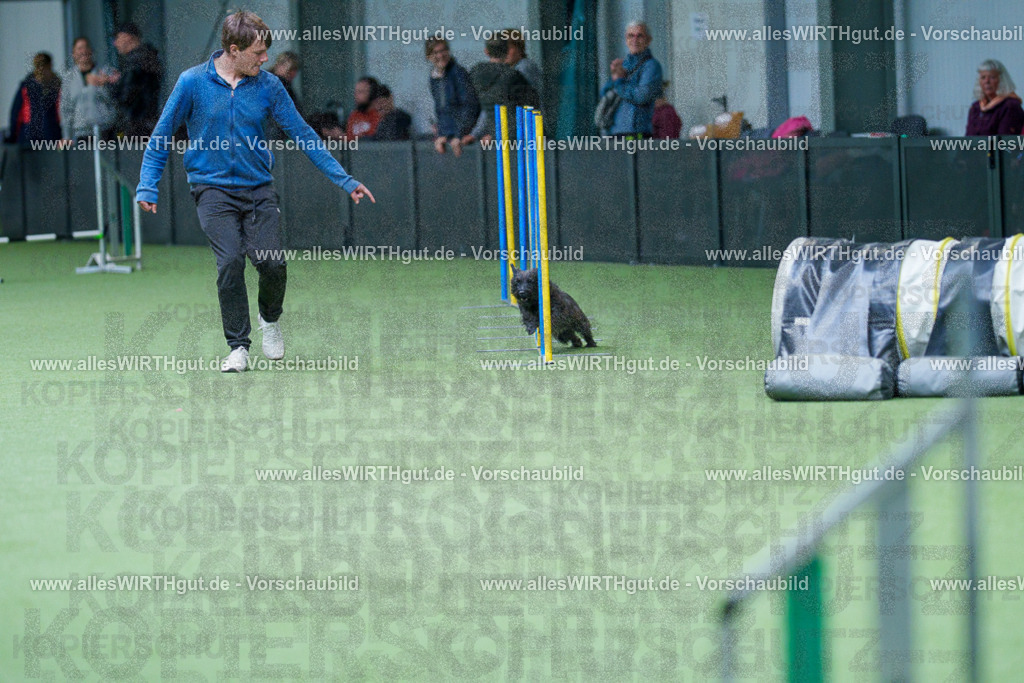 @allesWIRTHgut_Tierfotografie - www.allesWIRTHgut.de - 2604251128-7R500724 | Professionelle Tierfotografie in Mönchengladbach von Daniel Wirth (allesWIRTHgut). Liebevolle & natürliche Bilder von Hunden & Katzen für unvergessliche Erinnerungen.