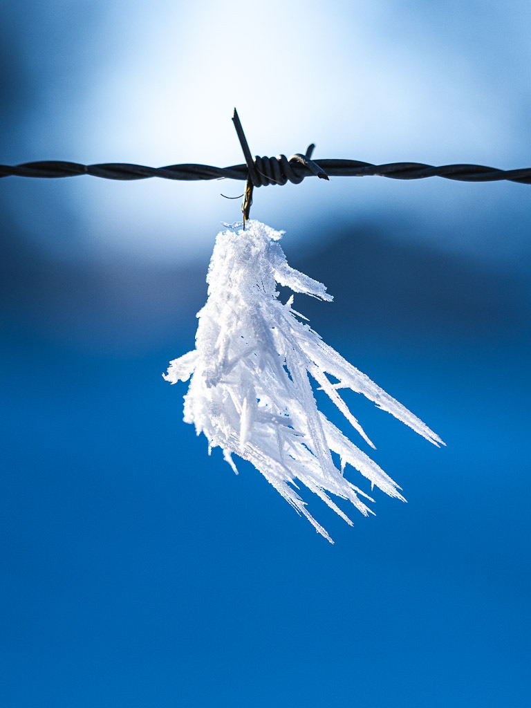 PC314050 | Carismarkus, Fotografie, Lost Places, Urbex, Stilvoll, Akt, Nude, Fine Arts, Adventure, Beauty in decay - Realisiert mit Pictrs.com