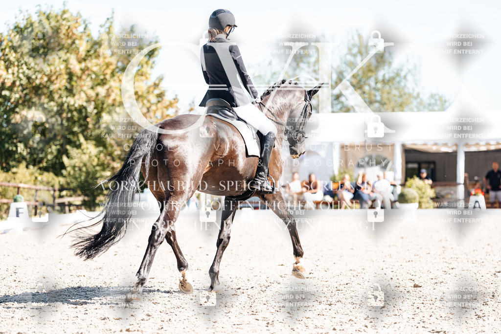 CK909401 | Turnierfotografie Pferdefotografie Trier Rheinland-Pfalz Pferdesport Reitsport Tierfotografie Sportfotografie Pferdevideo Pferdevideografie Equestrianvideography equestrianphotography  - Realisiert mit Pictrs.com