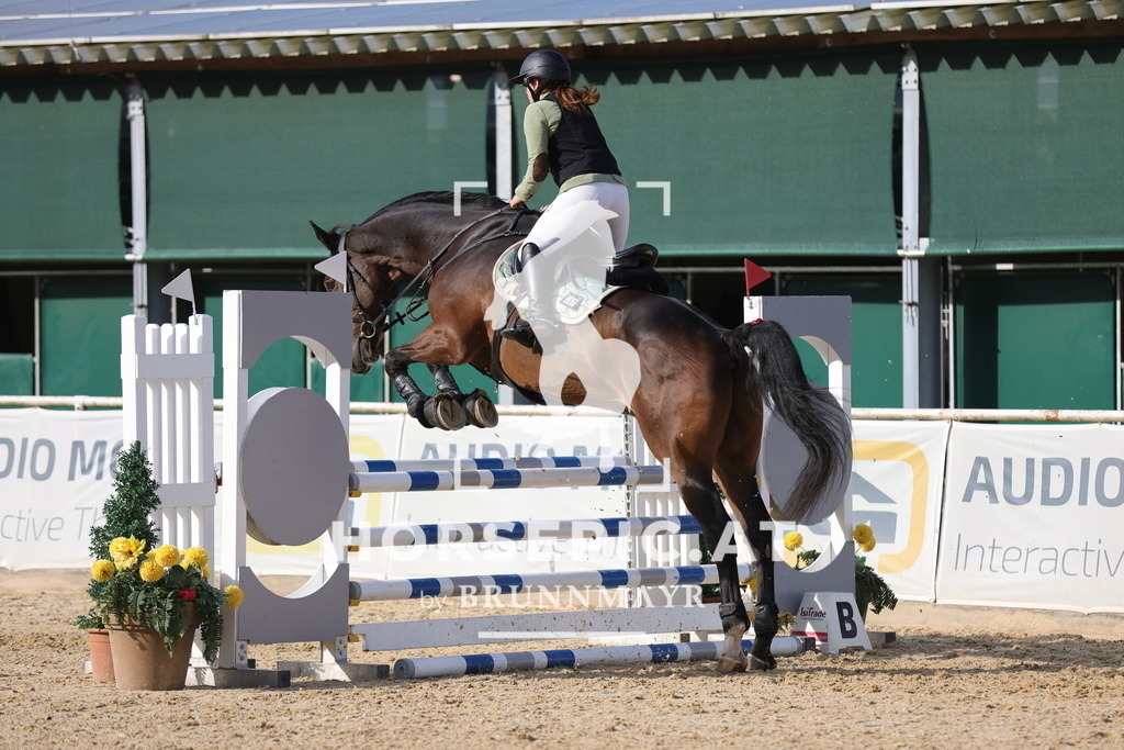 0P6A3533 | Willkommen bei Brunnmayr - Design & Fotografie – Ihrem Spezialisten für Reitturniere und Pferdeveranstaltungen in Oberösterreich, Salzburg und Bayern! Seit über 17 Jahren sind wir leidenschaftlich dabei.