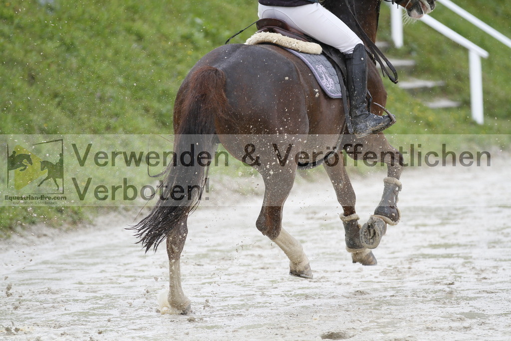 _MG_1355 | equestrian-live-com