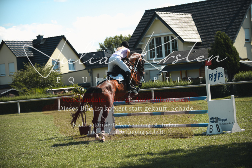 DSC_7180 | Pferde- und Turnierfotografie in Westsachsen. Pferdeportraits, Auftragszeichnungen und intuitive Kunst.