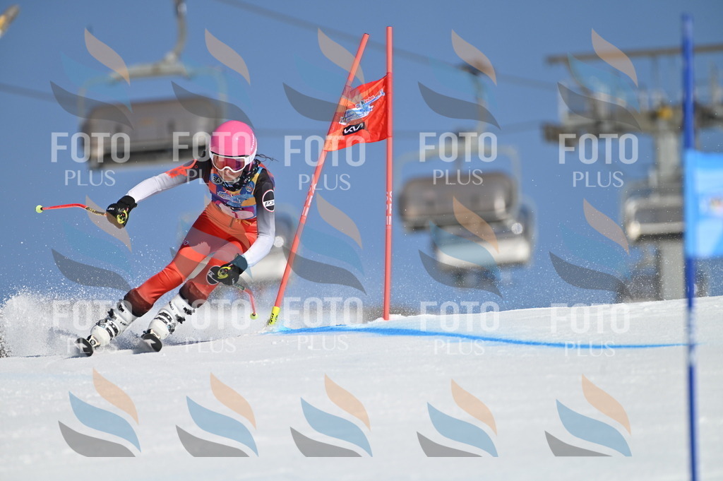 BGV_7572 | holidayphoto