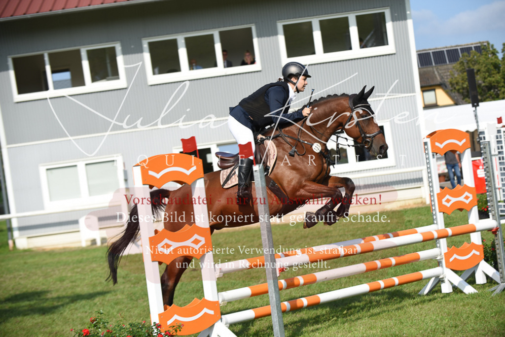 DSC_8868 | Pferde- und Turnierfotografie in Westsachsen. Pferdeportraits, Auftragszeichnungen und intuitive Kunst.