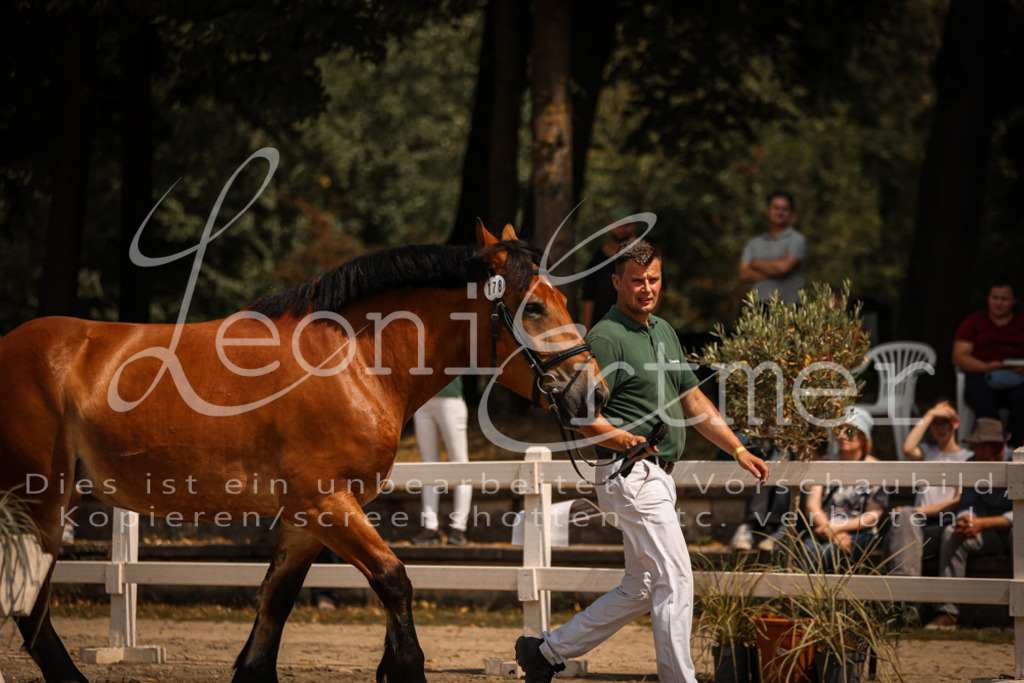 1.Sa00043 | Leoni Ertmer Photography - Realisiert mit Pictrs.com