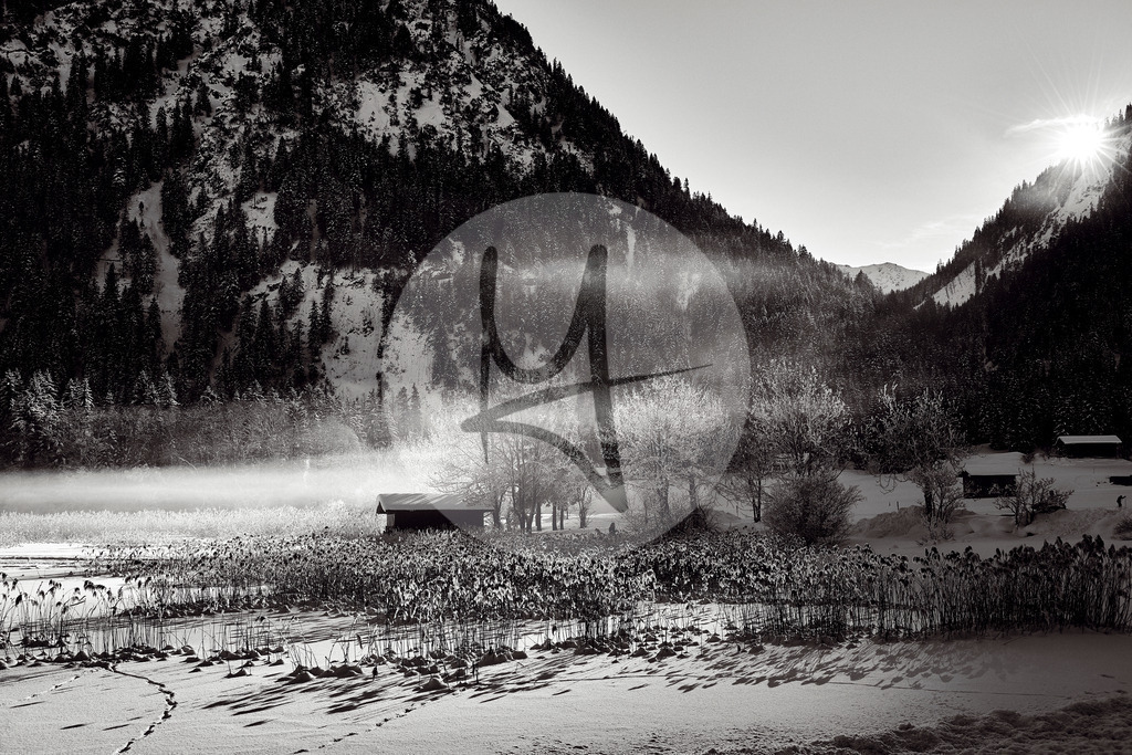 DSC_0363 | Meurer Shop - Realisiert mit Pictrs.com