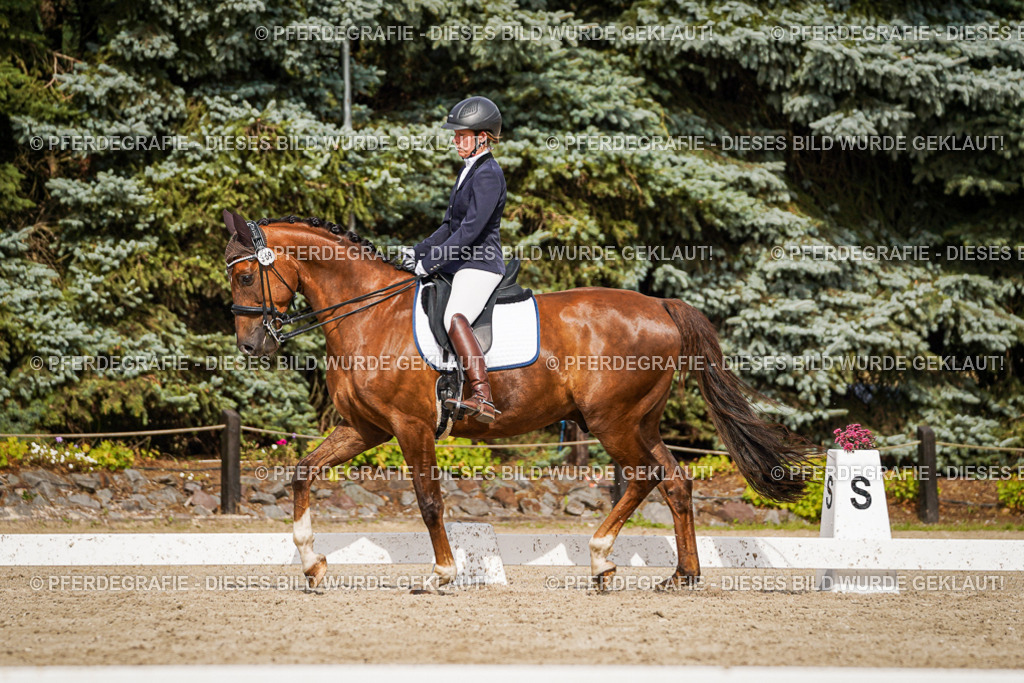 DSC06885 | Pferdegrafie