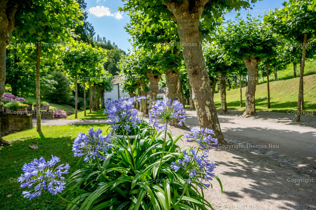 DSC_2617 | Der Staatspark Fürstenlager in Bensheim Auerbach, an der hessischen Bergstraße- ist ein wunderschöner Landschaftspark nach englischen Vorbild. Es war die Sommerresidenz der Darmstädter Fürstenfamilie die hier das "einfache Landleben" genossen. Zu jeder Jahreszeit kann man das Fürstenlager als Ausflugsziel empfehlen. Im Herrenhaus ist eine Gastronomie untergebracht. Im Sommer findet auf der Bühne vor der großen Wiese ein Opern-Air statt, 