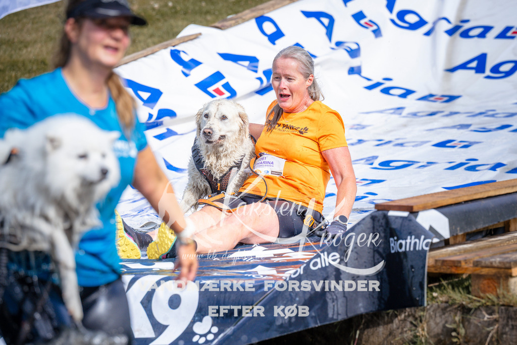 _ZZ989220811 | kk-dogfotos