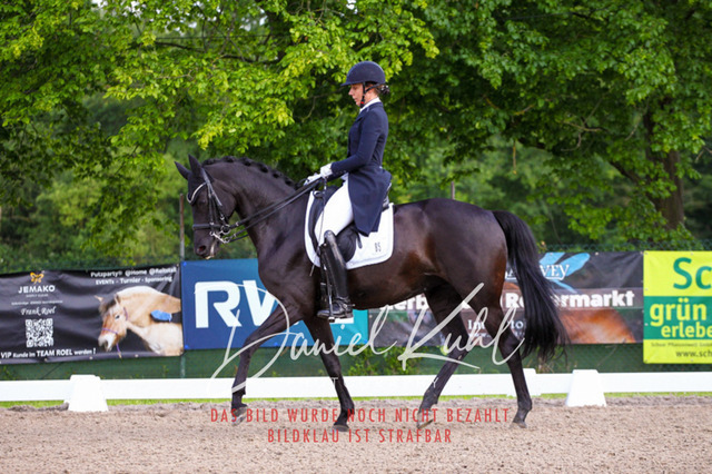 DKP41676 | Turnierfotos kaufen im Webshop von Daniel Kuhl Photography – entdecke professionelle Reitsportfotos aus Turnieren & Events. Hochwertige Turnierbilder online bestellen & sichern. Jetzt Fotos von Reitsportturnieren kaufen!