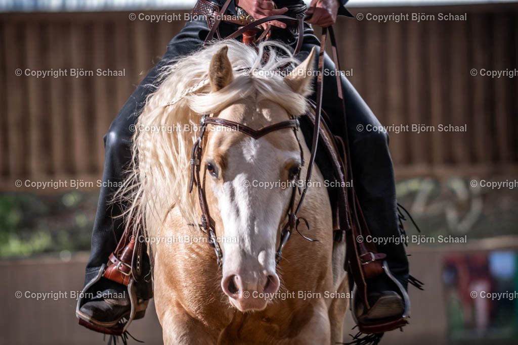 AQB08792 | BS-foto