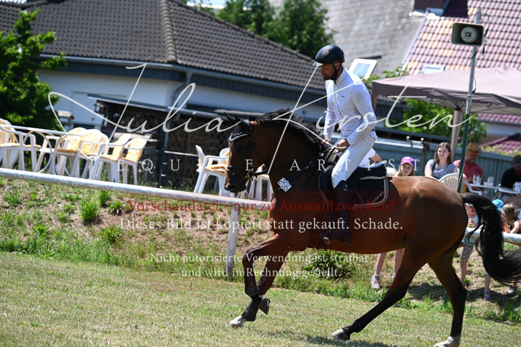 DSC_0585 | Pferde- und Turnierfotografie in Westsachsen. Pferdeportraits, Auftragszeichnungen und intuitive Kunst.