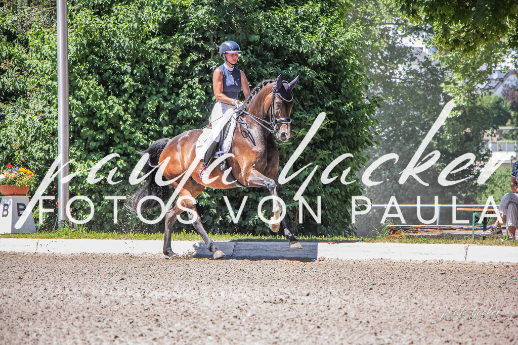 IMG_1171 | Erleben Sie dynamische Sport- und emotionale Tierfotografie in Süddeutschland mit Fotos von Paula. Spezialisiert auf Pferde- und Hundefotografie sowie Sportevents. Kontaktieren Sie mich für einzigartige und ausdrucksstarke Bilder Ihrer besonderen Momente. - Realisiert mit Pictrs.com