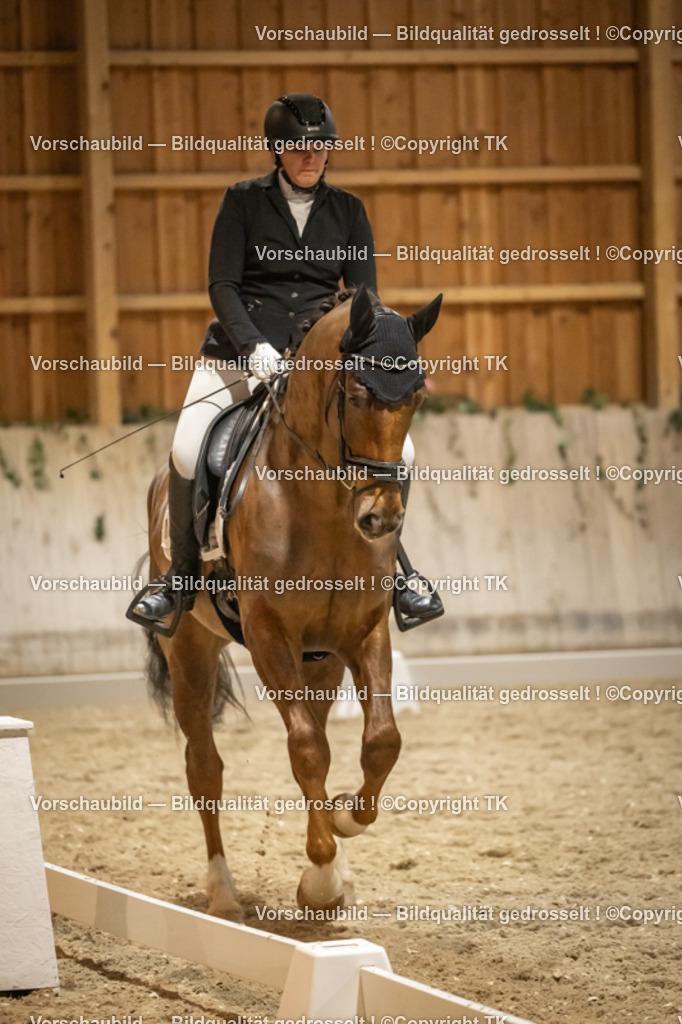 _D5A0586 | Emotionale Pferde- & People-Fotografie rund um Heidelberg, Leimen & Umgebung. Natürliche Fotos von Pferd, Mensch & Familie. Jetzt Termin sichern!