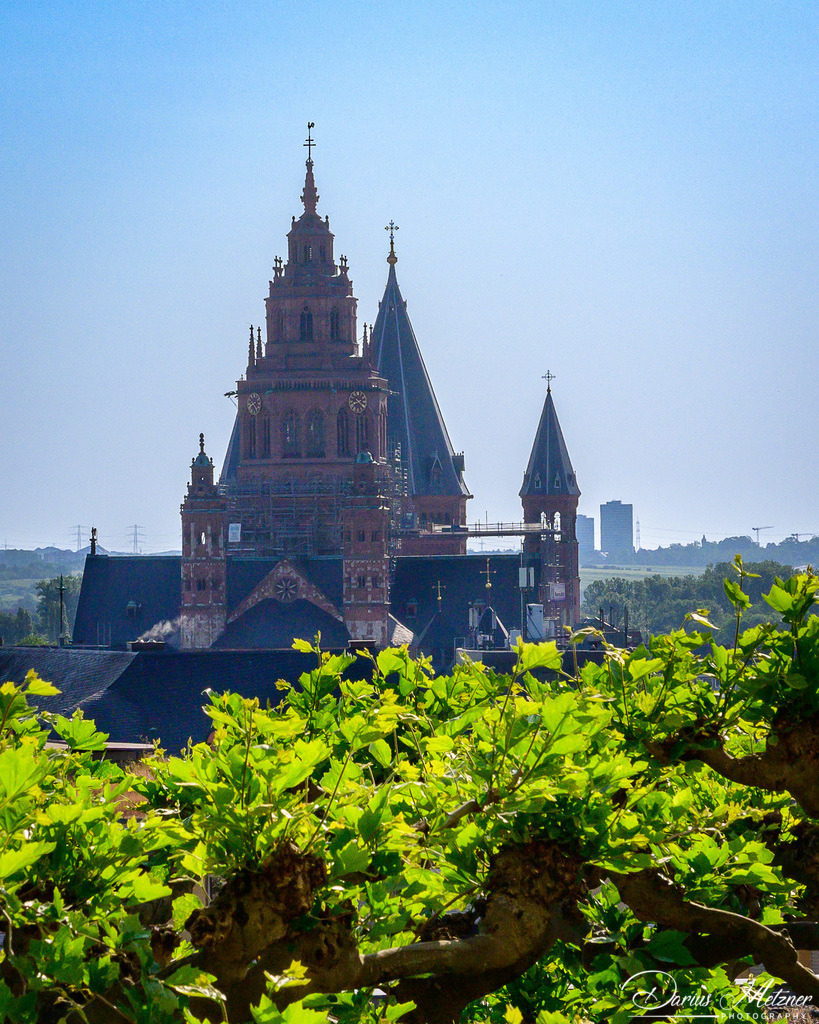 Der Hohe Dom St. Martin zu Mainz | Der Hohe Dom St. Martin zu Mainz