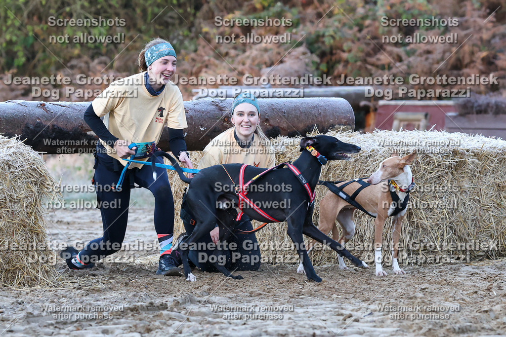 Dog Paparazzi - Strongdog 10-25-325 | Dog Paparazzi Jeanette Grottendiek Fotografie & Videografie - Realisiert mit Pictrs.com