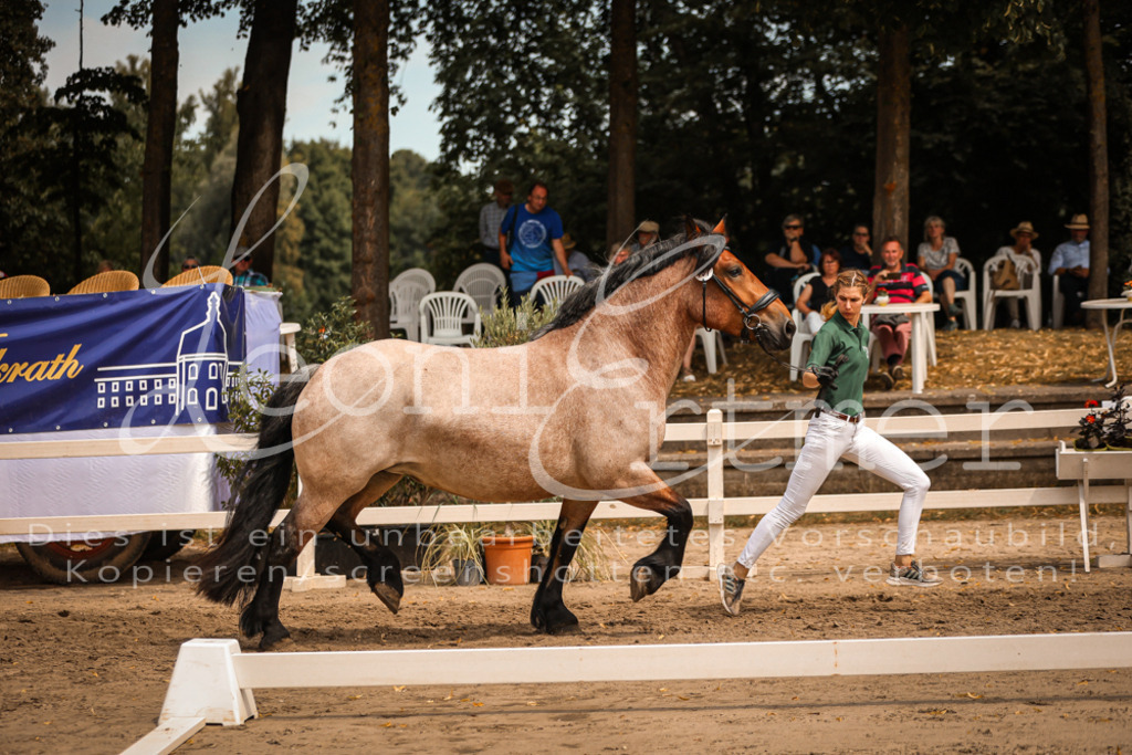 4.Sa00038 | Leoni Ertmer Photography - Realisiert mit Pictrs.com