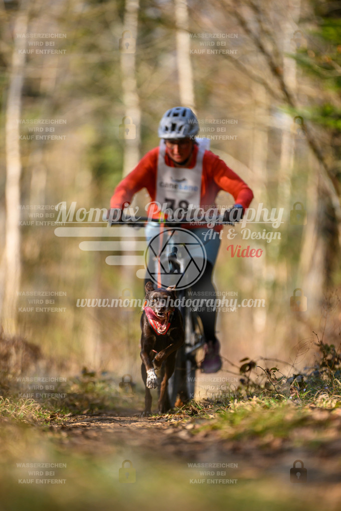 MompixPhotography_6ReiatRennen2026_SO_Bike-126 | PayLife