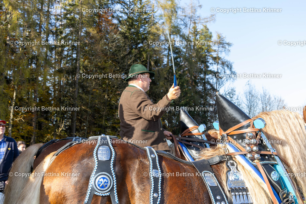 LBT24-1540 | foto-bettina-krinner - Realisiert mit Pictrs.com