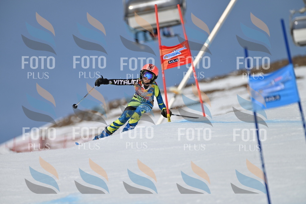 BGV_7269 | holidayphoto