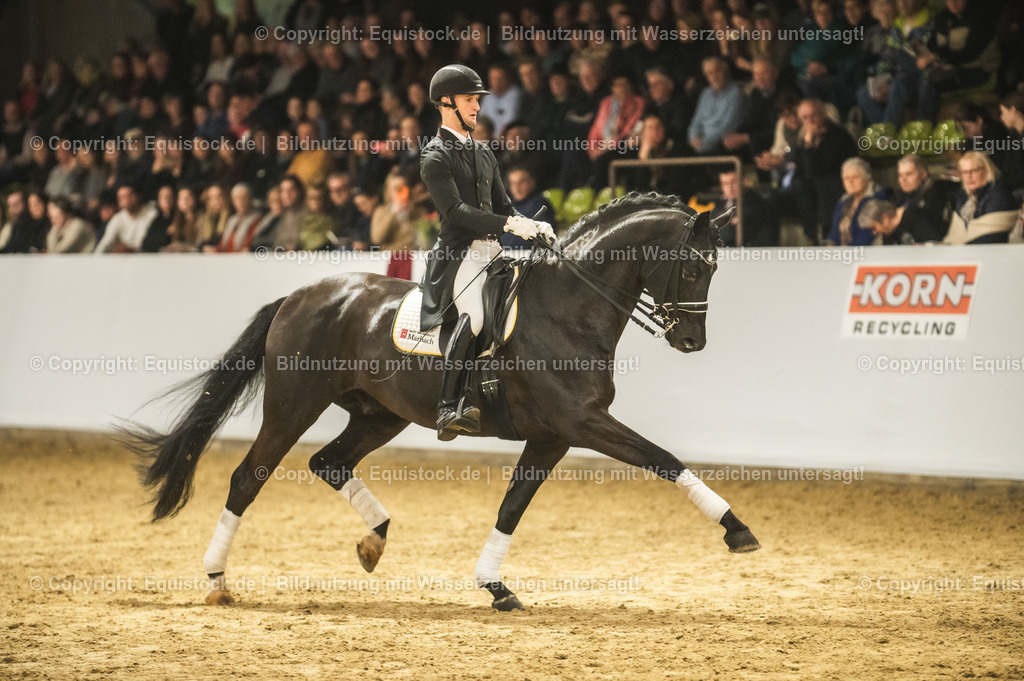 20240302_Hengstvorstellung_Marbach_TOMsPiC_1522 | equistock