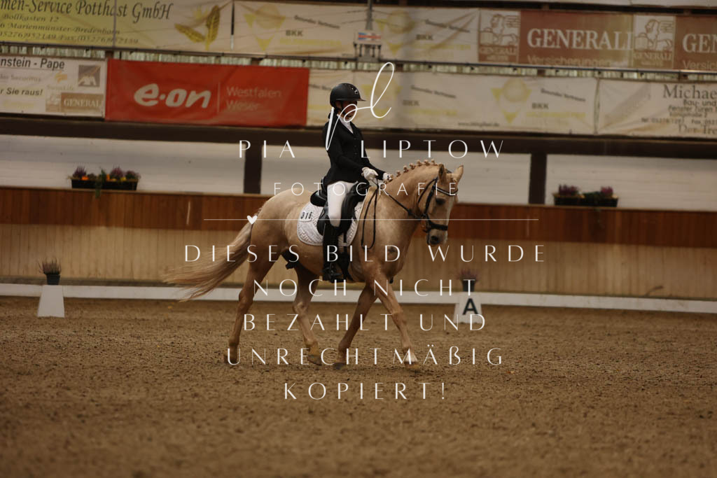 IMGM9010 | pl-fotografie