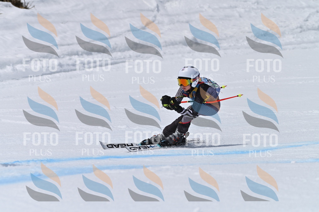 BGV_7102 | holidayphoto