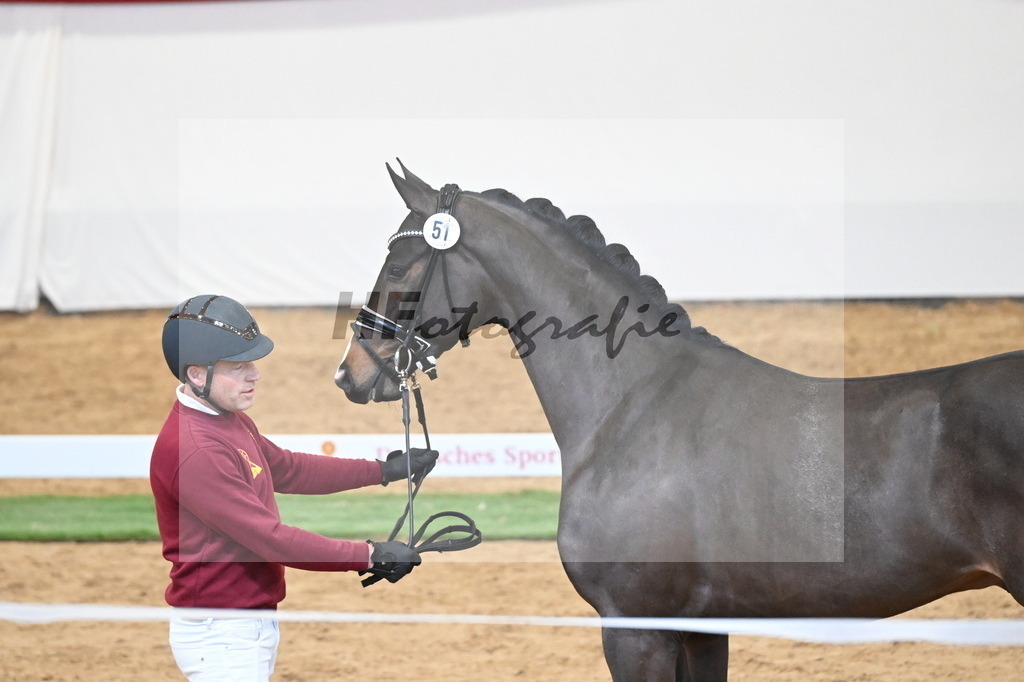 Kat.-Nr. 51 v. Donkey Boy_Lenzen_2250207 | hf-fotografie - Realisiert mit Pictrs.com