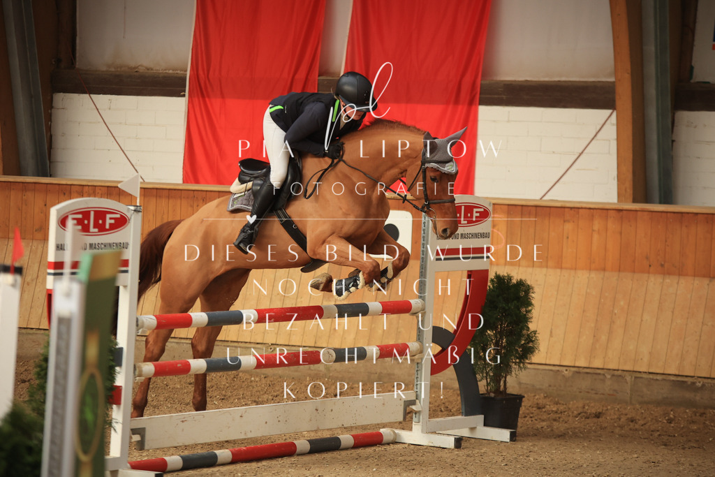 IMGT1229 | pl-fotografie