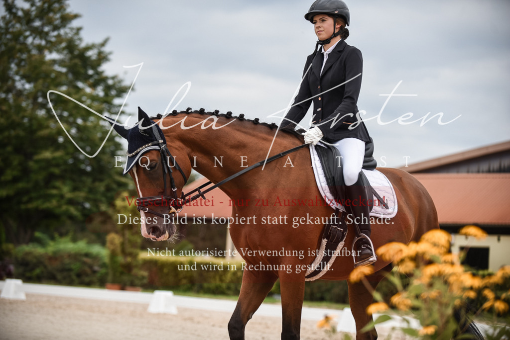 DSC_8421 | Pferde- und Turnierfotografie in Westsachsen. Pferdeportraits, Auftragszeichnungen und intuitive Kunst.