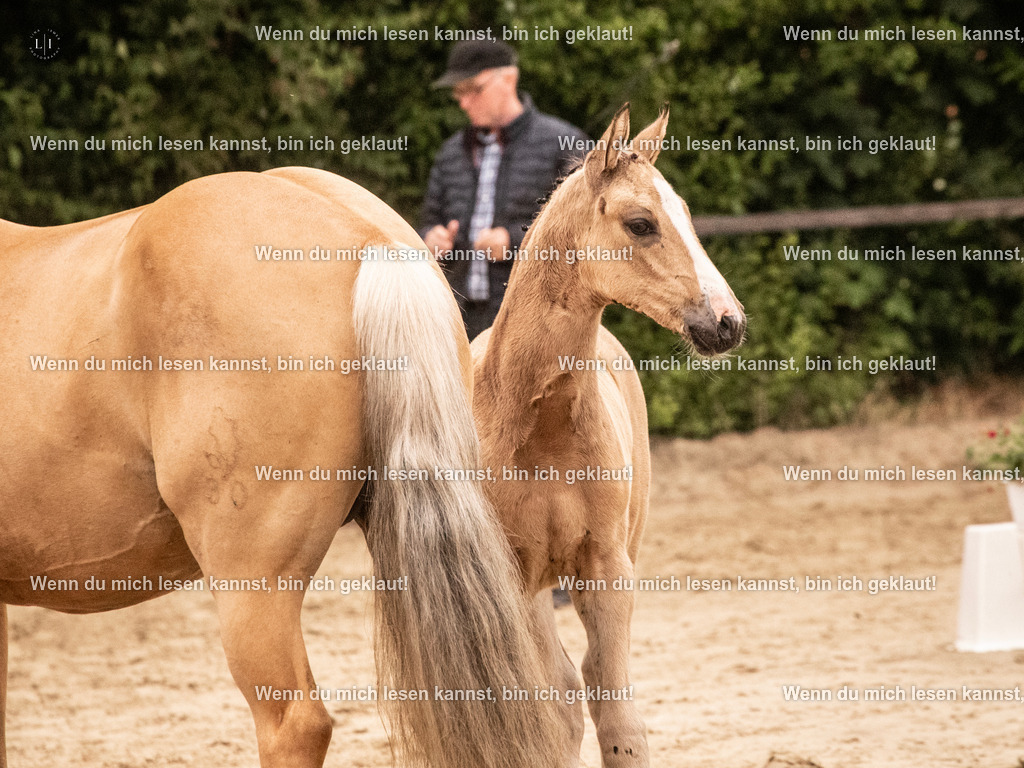 A10I2496 15.56.13 | photographylinaismer - Realisiert mit Pictrs.com